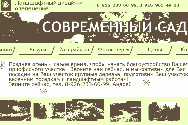 Современный сад